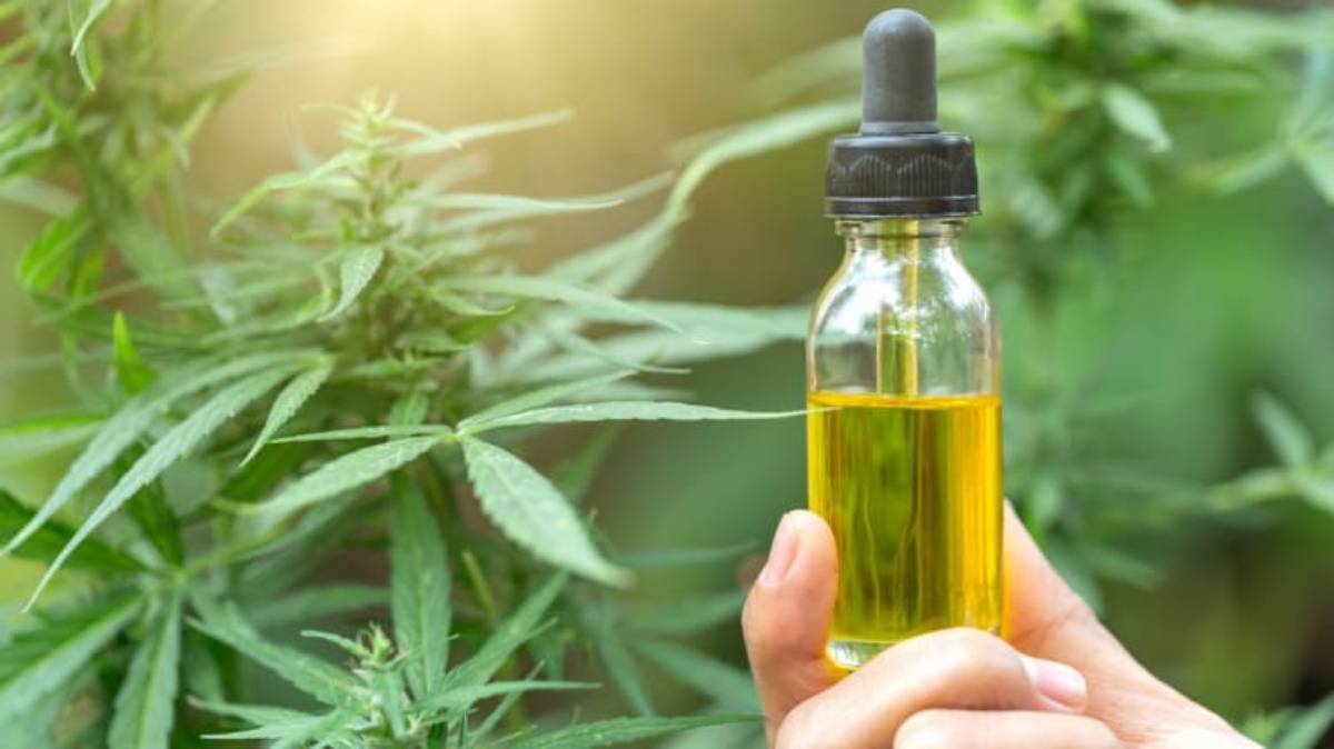 CBD for Joint Pain: All You Need to Know