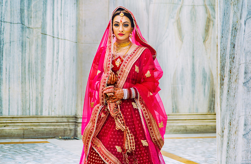 Authentic Wedding Sarees: The Beauty of India