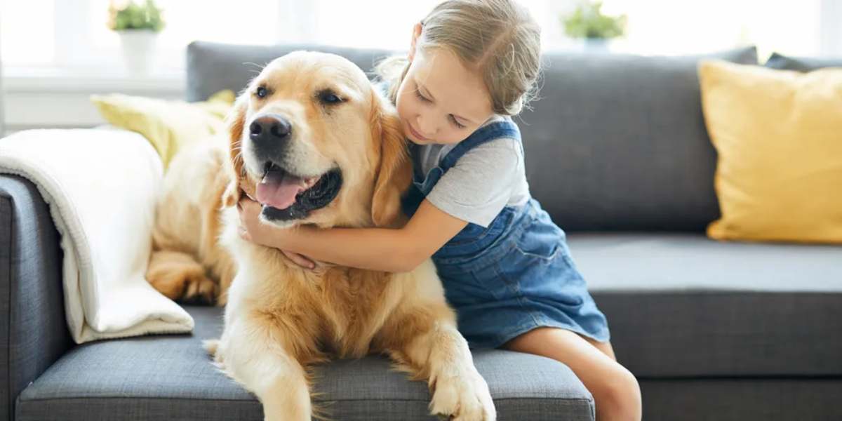 The Benefits of Pets for Foster Children