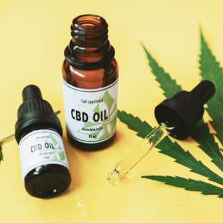 Best CBD Oils to Cook With (And 40+ CBD Recipe Ideas!)