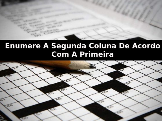 Enumere A Segunda Coluna De Acordo Com A Primeira