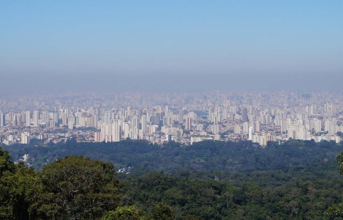 Influence of I.S. Sao Paulo on Sao Paulo's Environmental Landscape