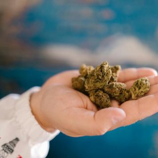 5 Reasons Why Weed Pens Are Gaining Popularity